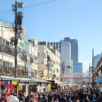 Private Tokyo City tour With English Speaking guide - Analyzing the Experience: What Works and What to Consider