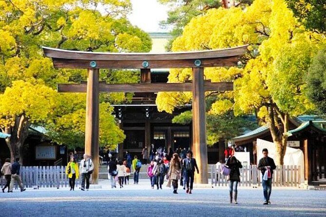 Private Tokyo Custom Full-Day Tour by Chartered Vehicle - The Value of a Private, Custom-Tailored Experience