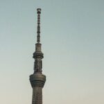Private Tokyo Day-Tour by Car with English Speaking Guide. - Authentic Insights from Travelers