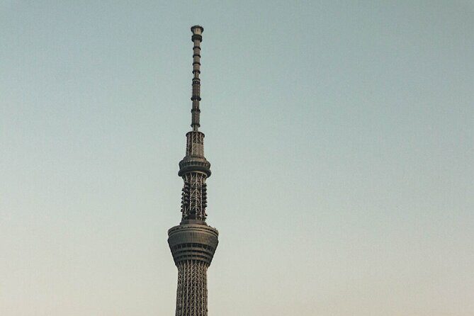 Private Tokyo Day-Tour by Car with English Speaking Guide. - Authentic Insights from Travelers