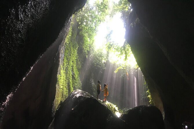 Private Tour : Bali Best Waterfalls, Temples and Monkey Forest - A Full Breakdown of the Bali Waterfalls, Temples, and Monkey Forest Tour