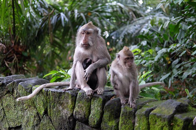 Private Tour: Bali in a Day - What the Tour Includes (and What It Doesn’t)