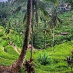 Private Tour: Best of Bali - All Inclusive Tickets - Authenticity and Real Guest Insights
