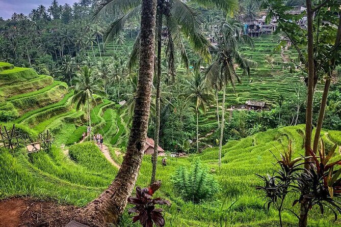 Private Tour: Best of Bali - All Inclusive Tickets - Authenticity and Real Guest Insights