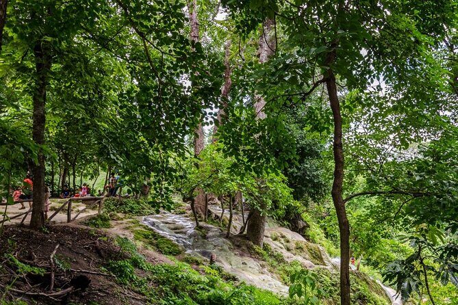 Private Tour: Bua Thong Sticky Waterfalls Tour - Who This Tour Is Best For
