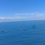 Private tour day tour trincomalee - Cultural and Historic Highlights