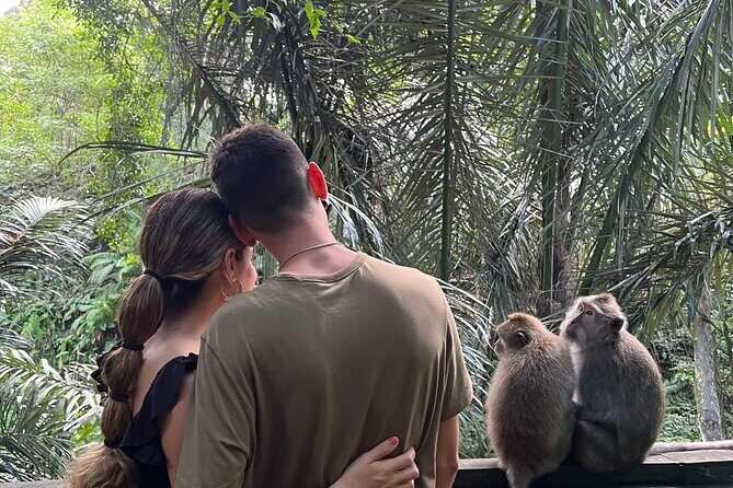 Private tour, discover the beauty of bali - The Practicalities: What Matters