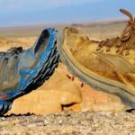 Private tour from Almaty Charyn canyon on Comfortable SUV - Authenticity & Reviews: What Travelers Say