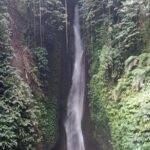 Private Tour from Leke-Leke Waterfall to Jatiluwih Rice Terrace - Who Should Book This Tour?
