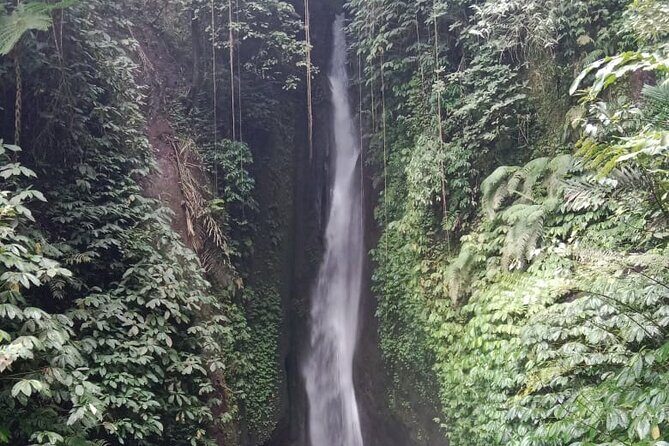Private Tour from Leke-Leke Waterfall to Jatiluwih Rice Terrace - Who Should Book This Tour?