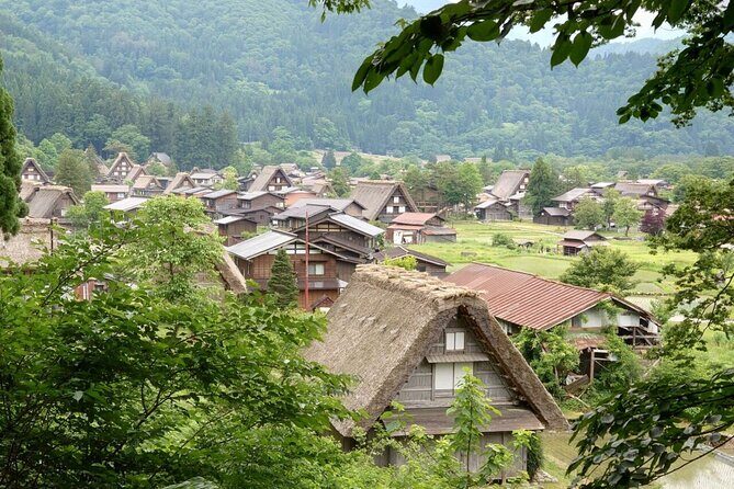 Private Tour From Takayama to Takayama and Shirakawago - What Reviewers Love Most