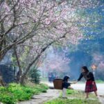 Private Tour: Ha Giang 3 days 4 nights - The Sum Up