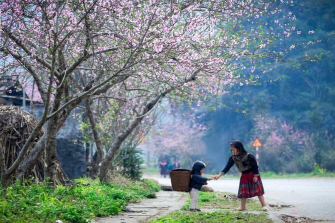 Private Tour: Ha Giang 3 days 4 nights - The Sum Up
