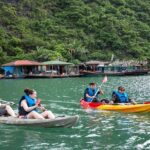 Private tour Halong Bay 1 Day Cruise with Cave, Kayaking - Practical Details and Value
