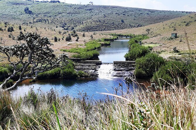 Private Tour in Horton Plains National Park ( World's End) with Pickup - Value for Money and Practical Considerations