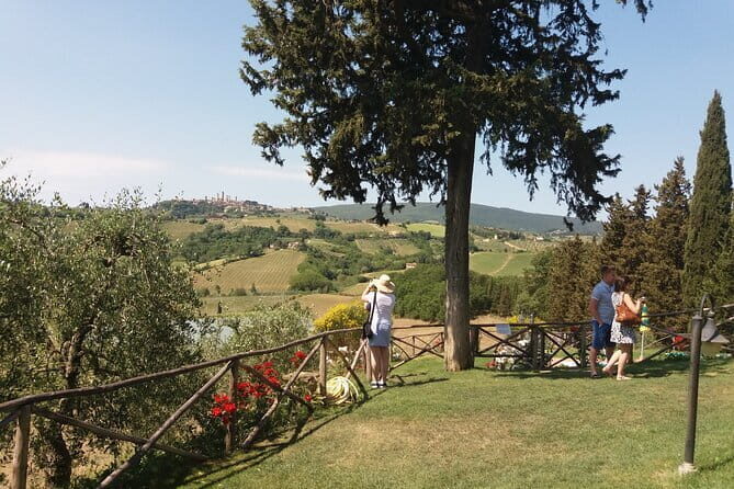 Private Tour in San Gimignano and Chianti Day Trip from Florence - Exploring the itinerary: What makes each stop special