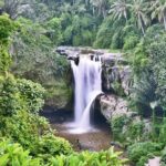 Private Tour: Incredible 6 Days Bali Tour Package with Airport Transfer - Who Should Consider This Tour?