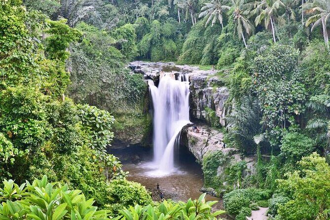Private Tour: Incredible 6 Days Bali Tour Package with Airport Transfer - Who Should Consider This Tour?