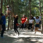 Private Tour: Nami Island& (Alpaca World 'or' Morning Calm)&Lunch - Who Will Love This Tour?
