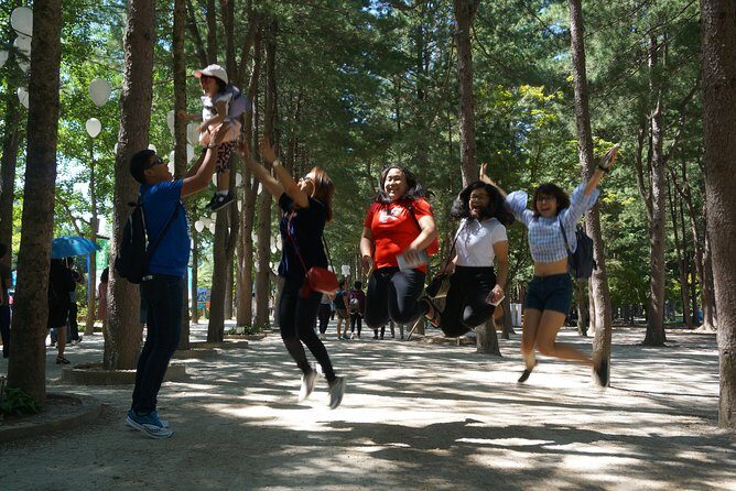 Private Tour: Nami Island& (Alpaca World 'or' Morning Calm)&Lunch - Who Will Love This Tour?