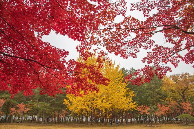 (Private tour) Nami Island + Railbike + Garden of morning calm - A Deep Dive into the Experience