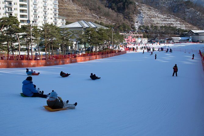 [Private Tour] Nami Island & Snow Viewing and Snow sled (More Members Less Cost) - An In-Depth Look at the Tour Itinerary