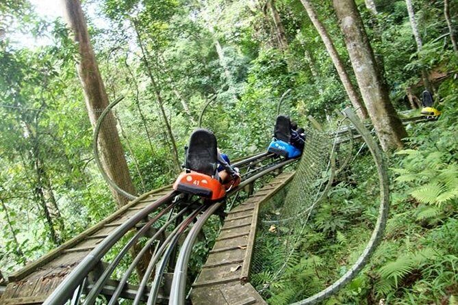 Private tour Nha Trang - Dalat excursion (starting at Nha Trang) - An In-Depth Look at the Itinerary