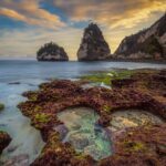 Private Tour: Nusa Penida DiamondBeach-Tree House EastSide Island - Why This Tour Works for You