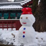 Private Tour Rail Bike & Nami Island & (Petite France or Garden of Morning Calm) - A Deep Dive into the Itinerary