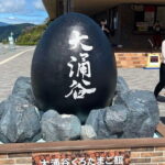 Private tour - Scenic Fuji Escape: Hakone, Peace Park & More - Who Should Consider This Tour?
