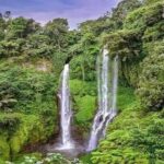 Private Tour Sekumpul Waterfall Combination Beratan Temple & Twin Lakes - A Deep Dive into the Itinerary