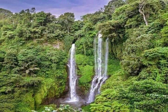 Private Tour Sekumpul Waterfall Combination Beratan Temple & Twin Lakes - A Deep Dive into the Itinerary
