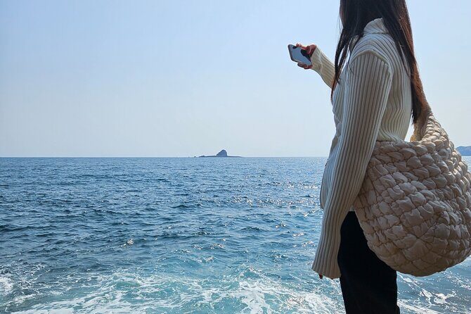 Private Tour South and West Jeju Island with Experienced Driver - The Practicalities: Transportation, Timing, and Cost