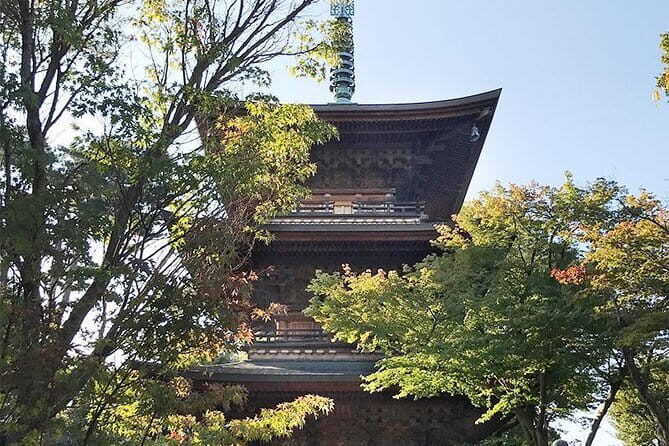 Private Tour - Thousands of lucky cats! Go by tram, Gotokuji Tour - Who Would Benefit Most from This Tour?