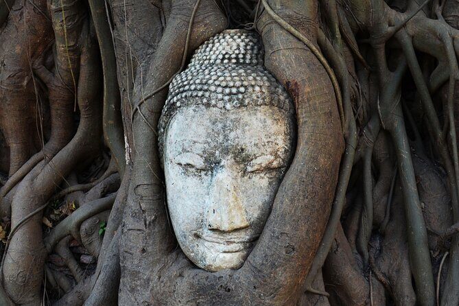 Private Tour to Ayutthaya and Bang Pa In Palace with Boat Tour - Detailed Review of the Tour Experience