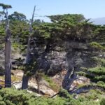 Private Tour to Monterey, Carmel, 17-Mile Drive, Pebble Beach - The Experience’s Value and Practical Aspects
