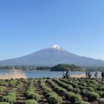 Private Tour to Mt Fuji and Hakone with English Speaking Driver - Who Will Love This Tour?