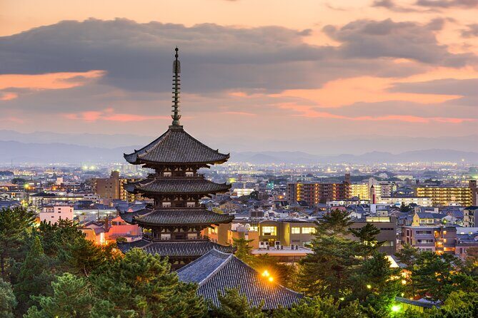 Private Tour to Nara from Osaka with English speaking Driver - Why Choose This Private Nara Tour?