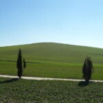 Private Tour to Siena and San Gimignano with Wine Tasting & Lunch - Transportation and Comfort