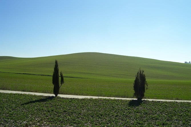 Private Tour to Siena and San Gimignano with Wine Tasting & Lunch - Transportation and Comfort
