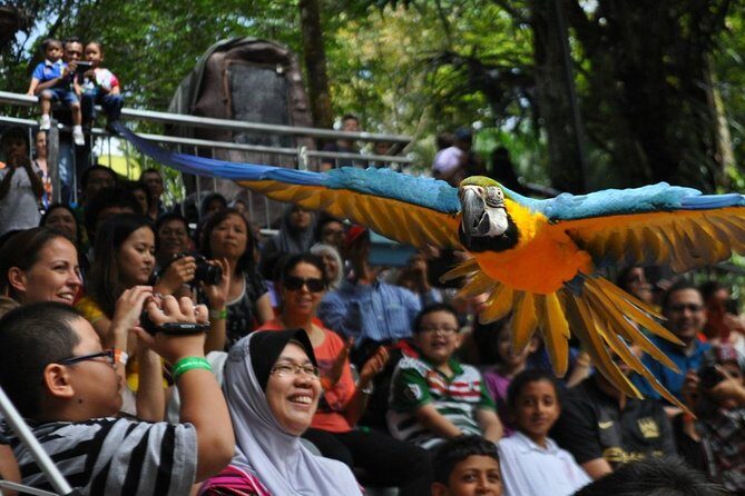 Private Tour to The Best of Animal Attractions in Kuala Lumpur - What’s Included and What to Consider