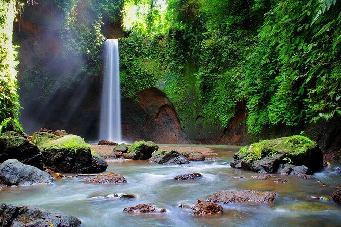 Private Tour To Tibumana Waterfall, rice terraces & Jungle Swing - Who Is This Tour Best For?
