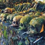 Private Tour to Trunyan Village "Skull Island of Bali" - Why This Tour Offers Great Value
