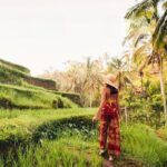 Private Tour Ubud: Swing at Rice Field with Temple and Waterfall - Who Should Book This Tour?