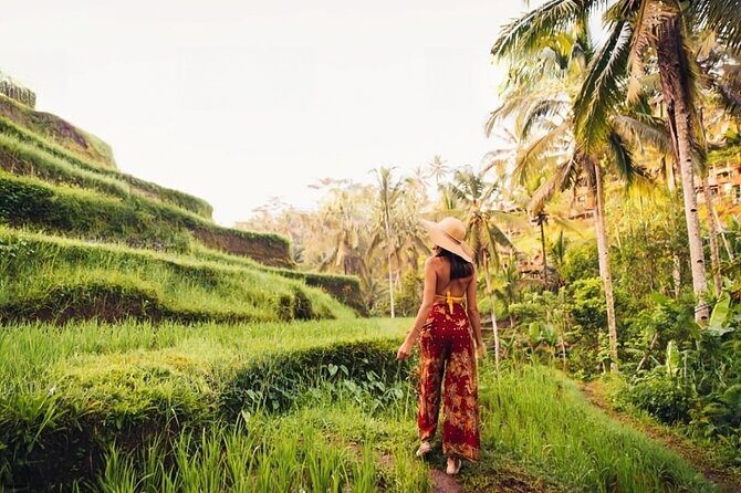 Private Tour Ubud: Swing at Rice Field with Temple and Waterfall - Who Should Book This Tour?