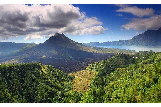 Private Tour:Kintamani Volcano Tour With Entrance Ticket & Hotel Transfer - What Makes This Tour Stand Out?