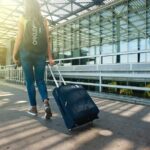 Private Transfer - Bangkok Airport Arrival to Pattaya City Hotel - Who Is This Transfer Perfect For?