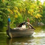 Private Transfer from Trivandrum to Alleppey: Travel Guide - What to Expect at Your Destination: Alleppey