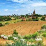 Private Transfer Of Mandalay To Bagan - FAQs