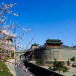 Private Transfer Service from Beijing To Juyongguan and Badaling Great Wall - Who Is This Tour Best For?